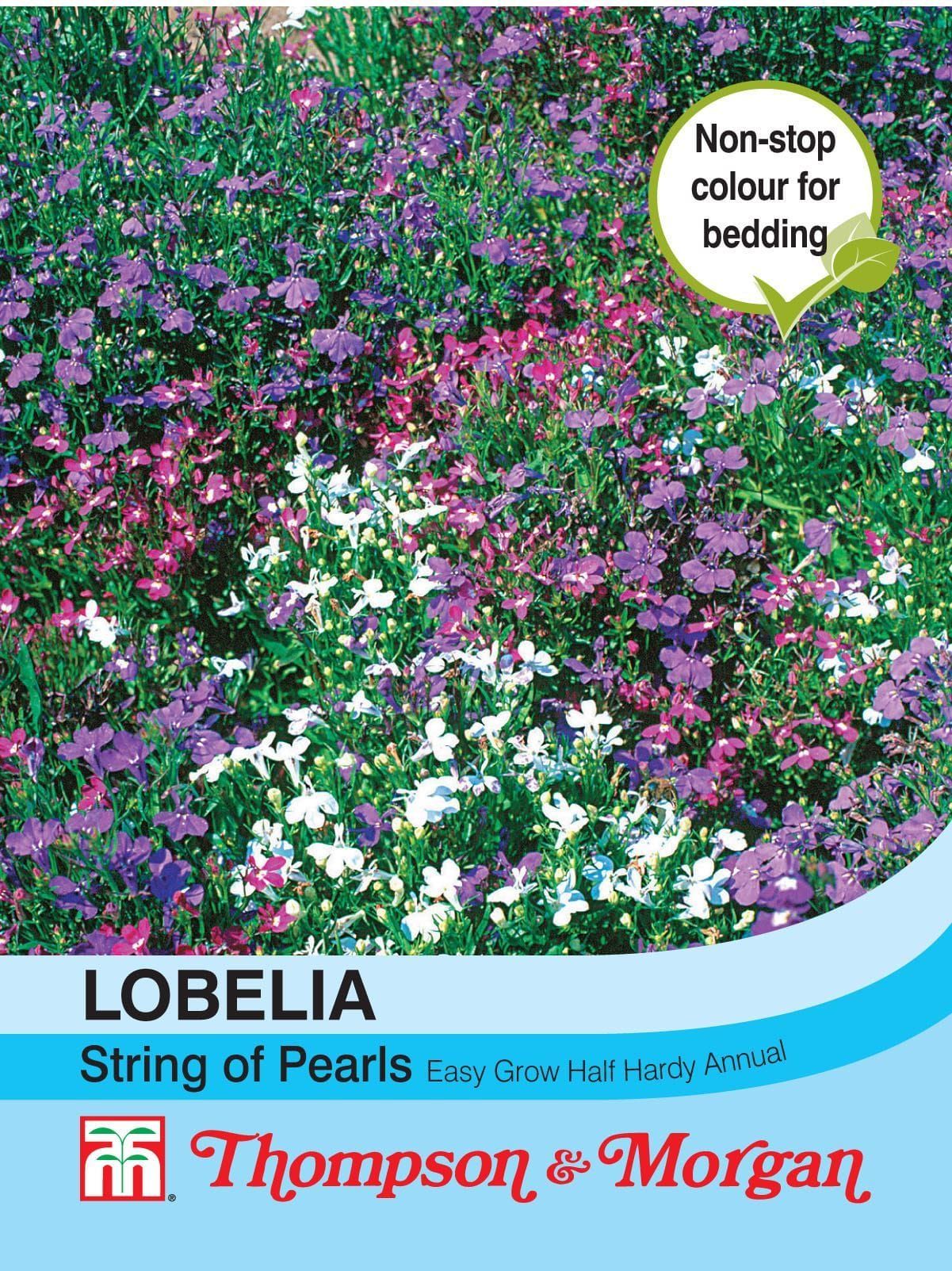 Thompson & Morgan Lobelia String Of Pearls Mixed 1000 Seed