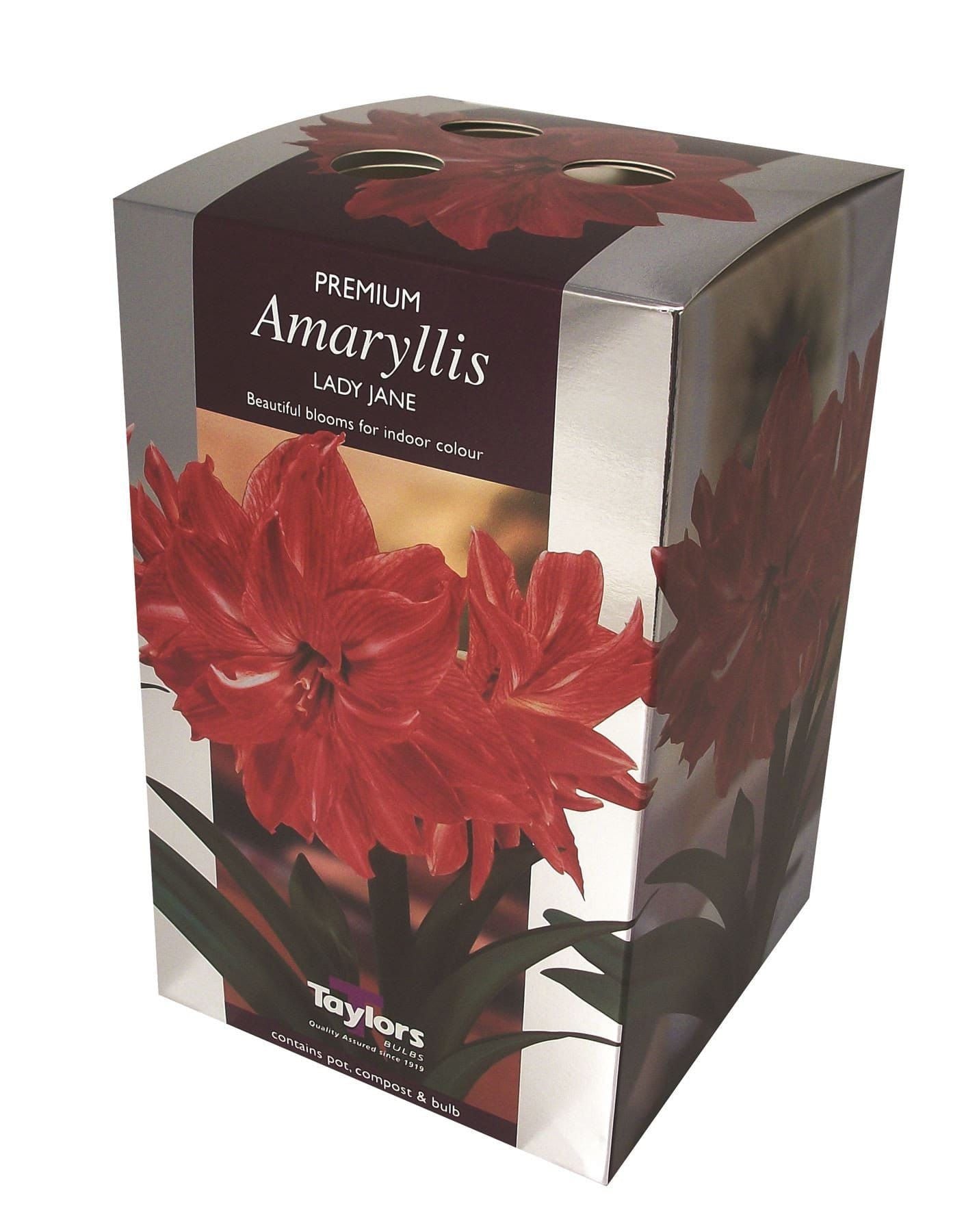 Taylors Amaryllis Bulb Gift Pack Lady Jane Double Flower