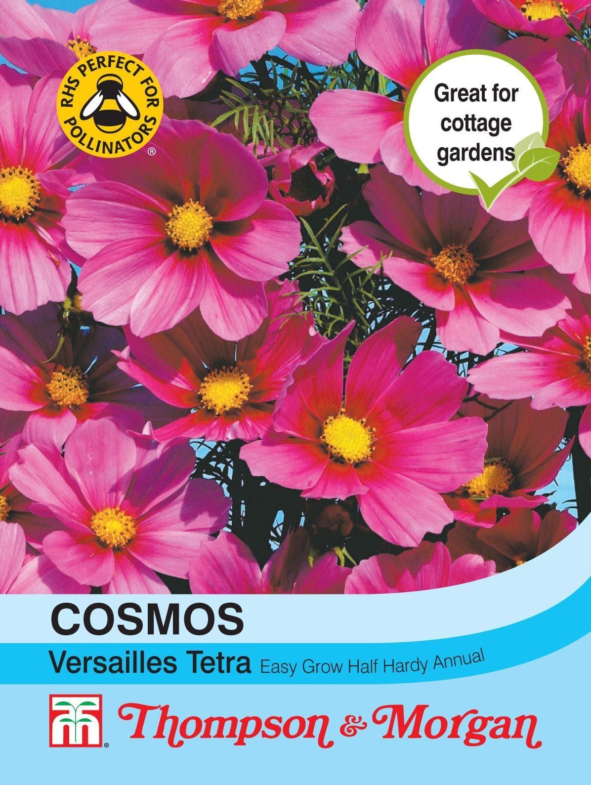 Thompson & Morgan Cosmos Versailles Tetra 60 Seed