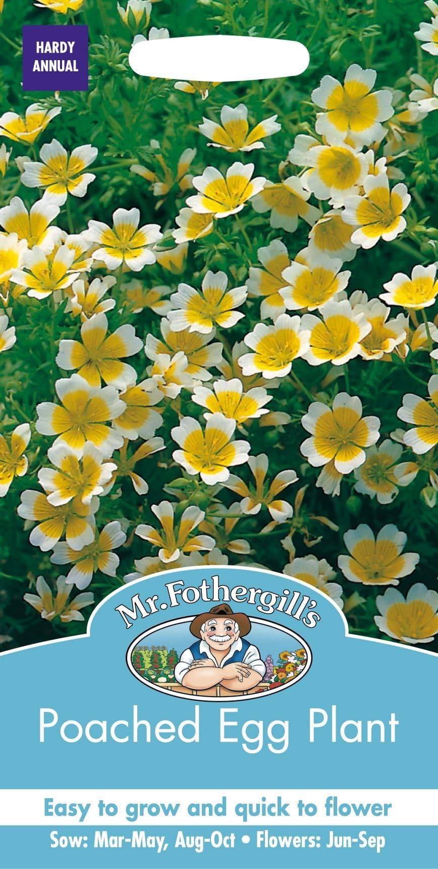 poached egg plant seeds for sale Mr Fothergills Poached Egg Plant 100 Seeds – JustSeed