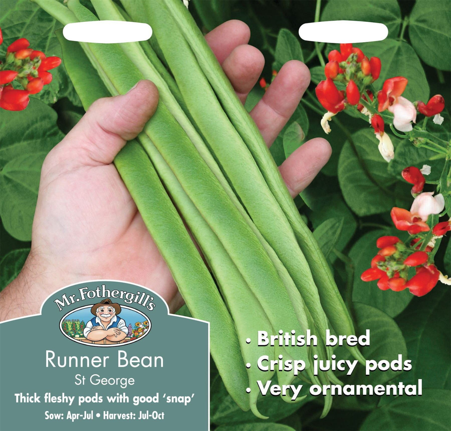 Mr Fothergills Runner Bean St George 40 Seeds