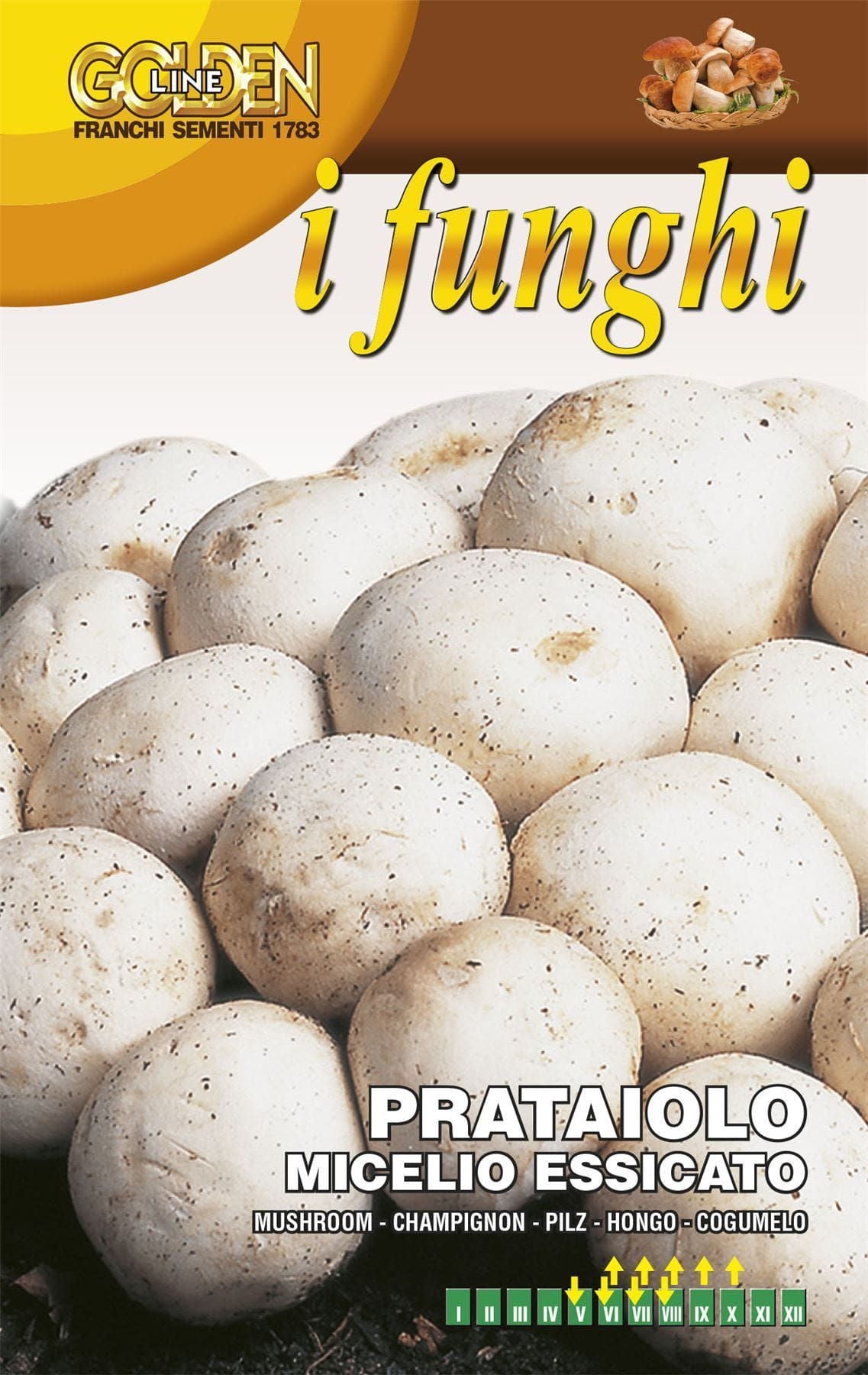 FRANCHI - BUTTON MUSHROOM - PRATAIOLO - 100G