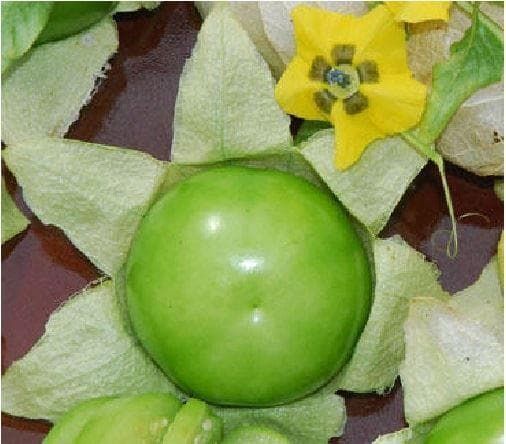 Tomatillo Verde Seeds
