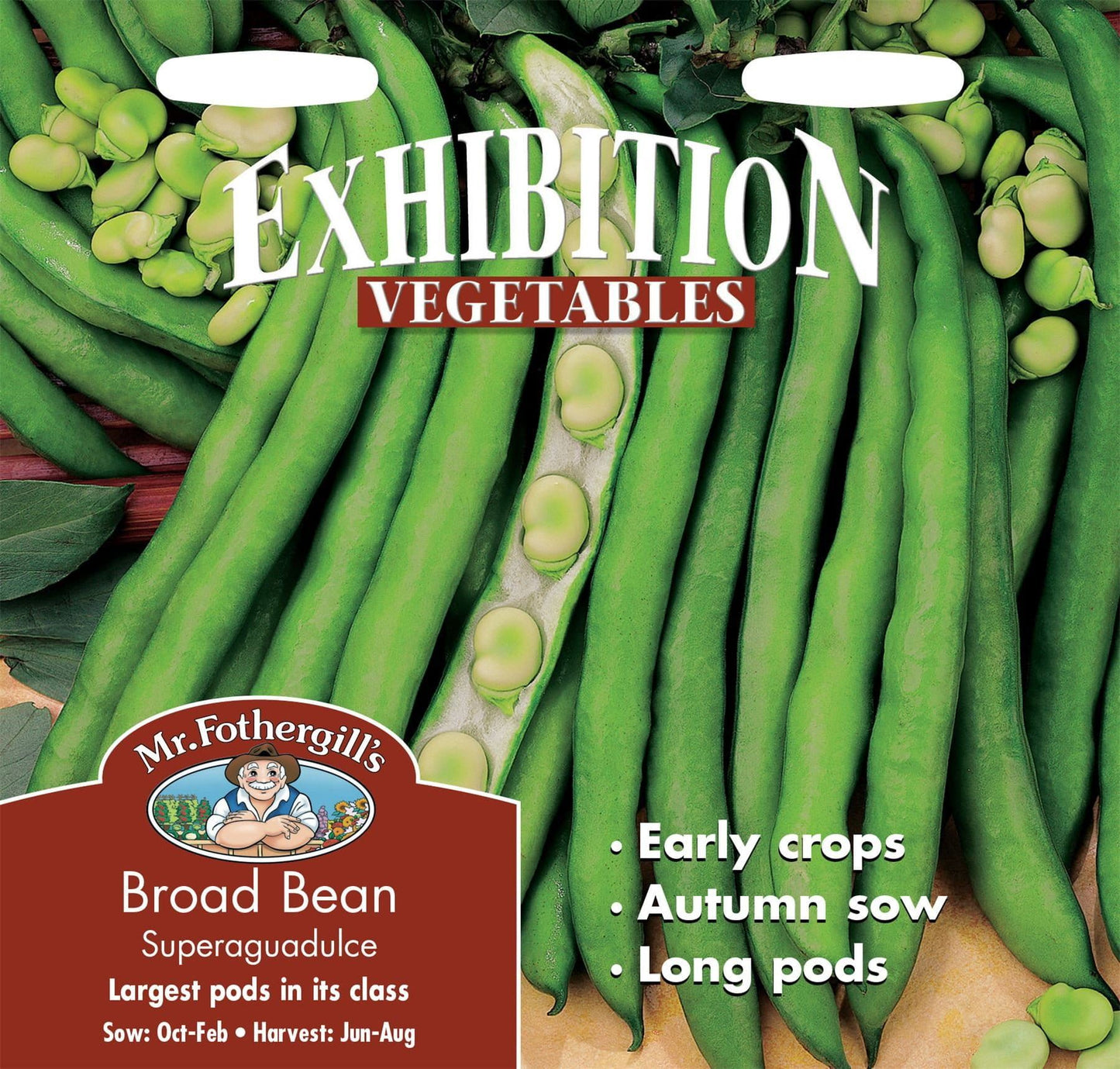 Mr Fothergills Broad Bean Superaguadulce 50 Seeds