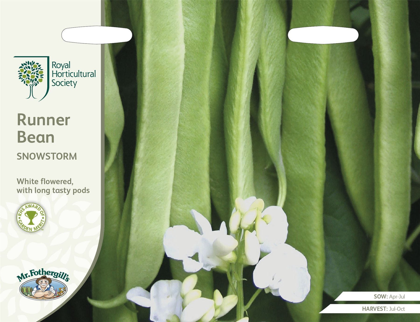 Mr Fothergills RHS Runner Bean Benchmaster 40 Seeds