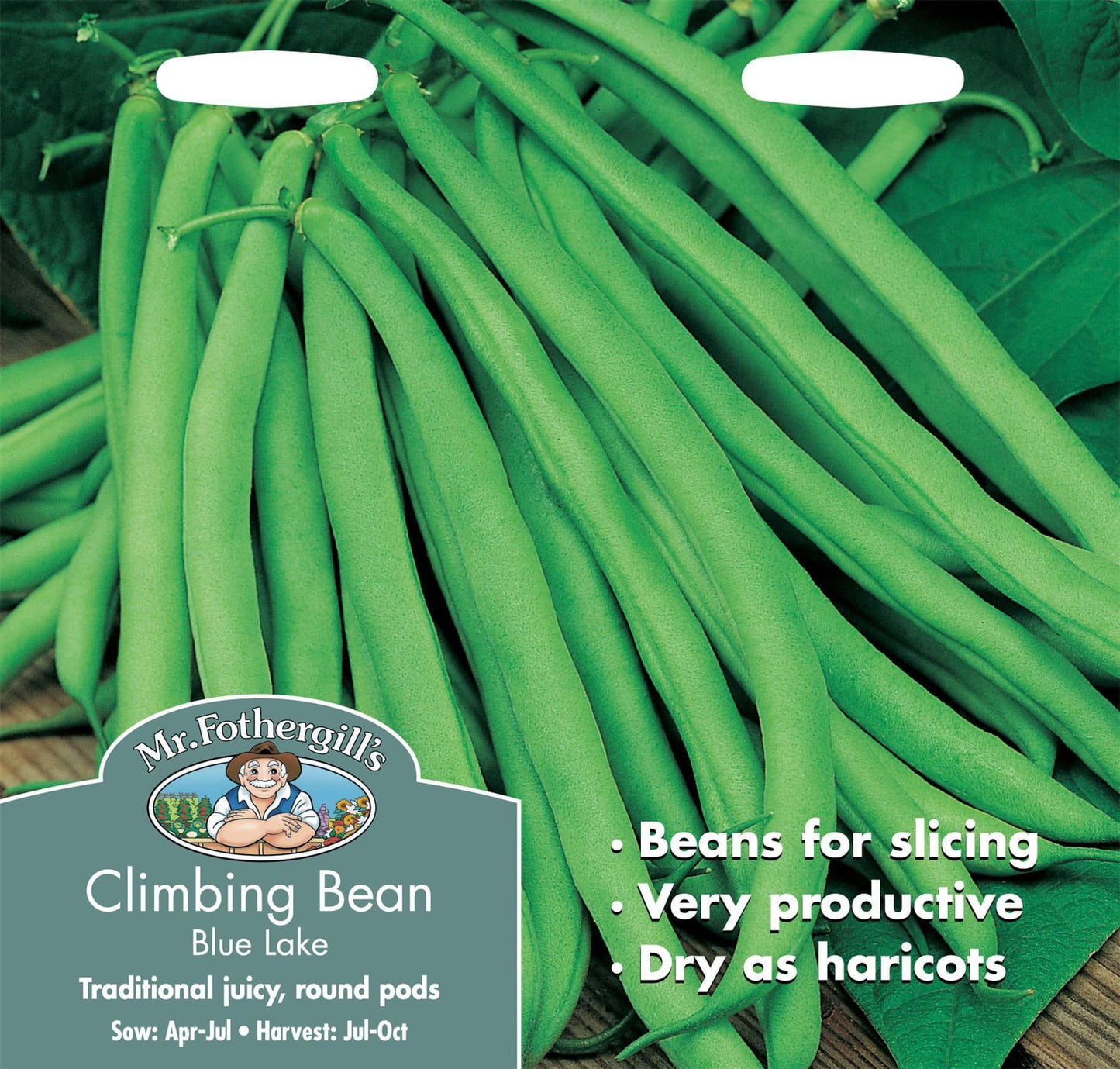 Mr Fothergills Climbing Bean Blue Lake 100 Seeds