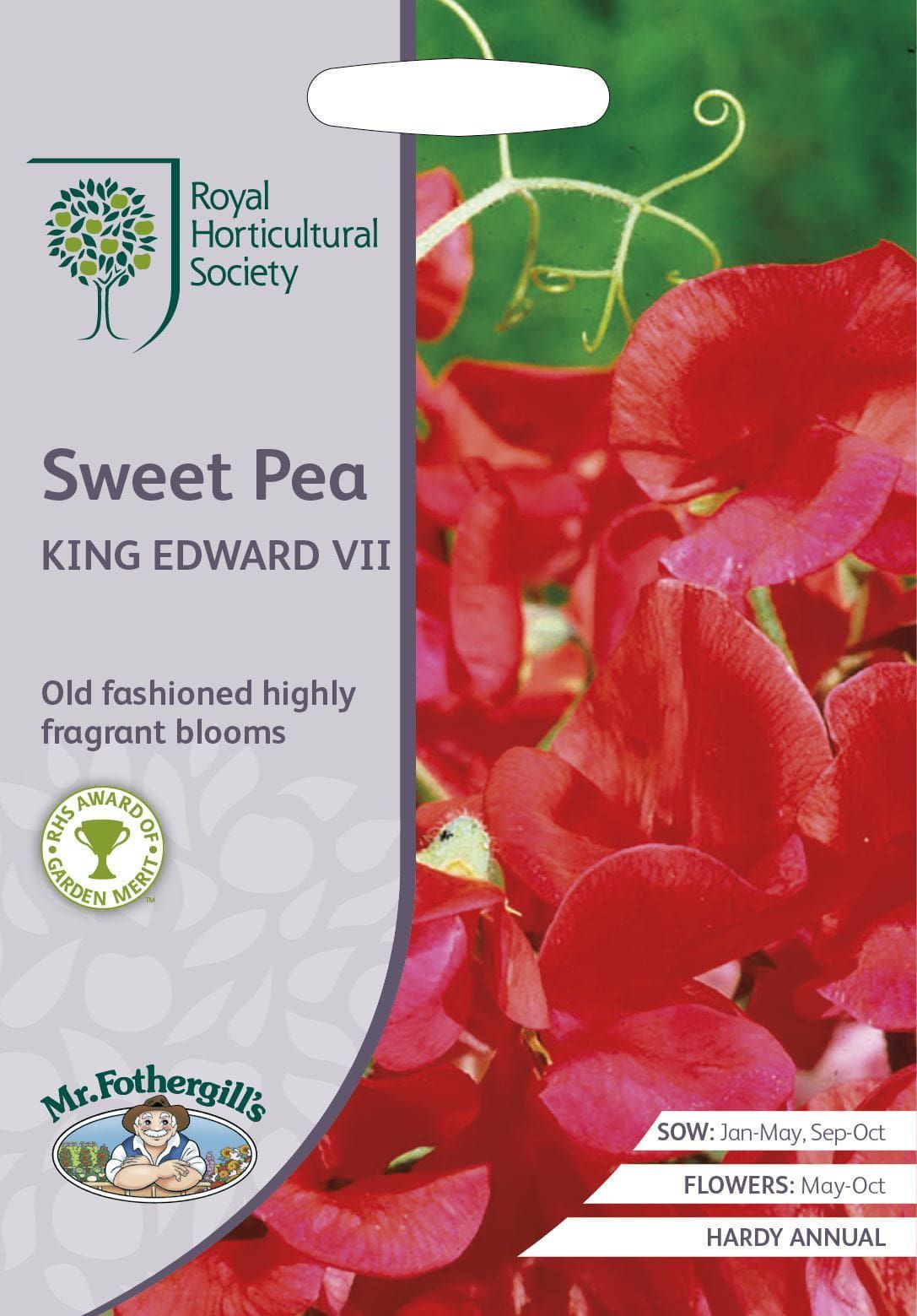 Mr Fothergills RHS Sweet Pea King Edward Vii 25 Seeds