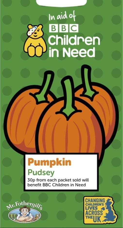 Mr Fothergills Children in Need Pumpkin Pudsey 100 Seeds
