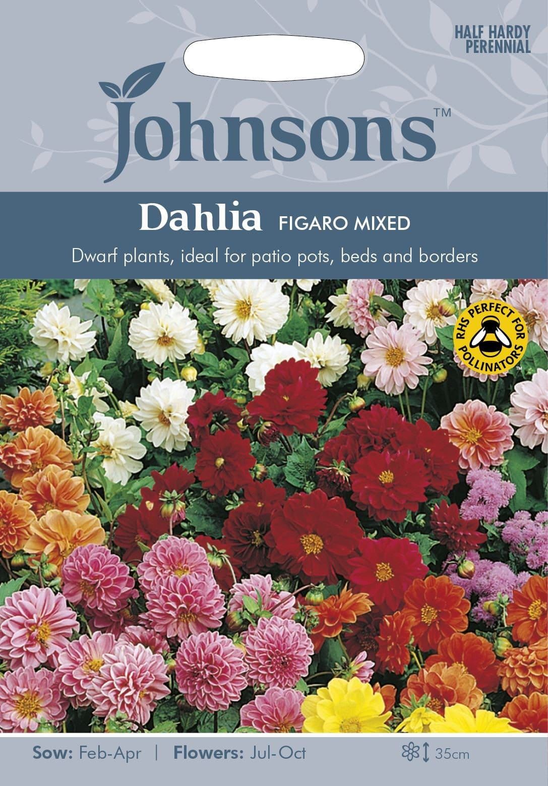 Johnsons Dahlia Figaro Mixed 40 Seeds