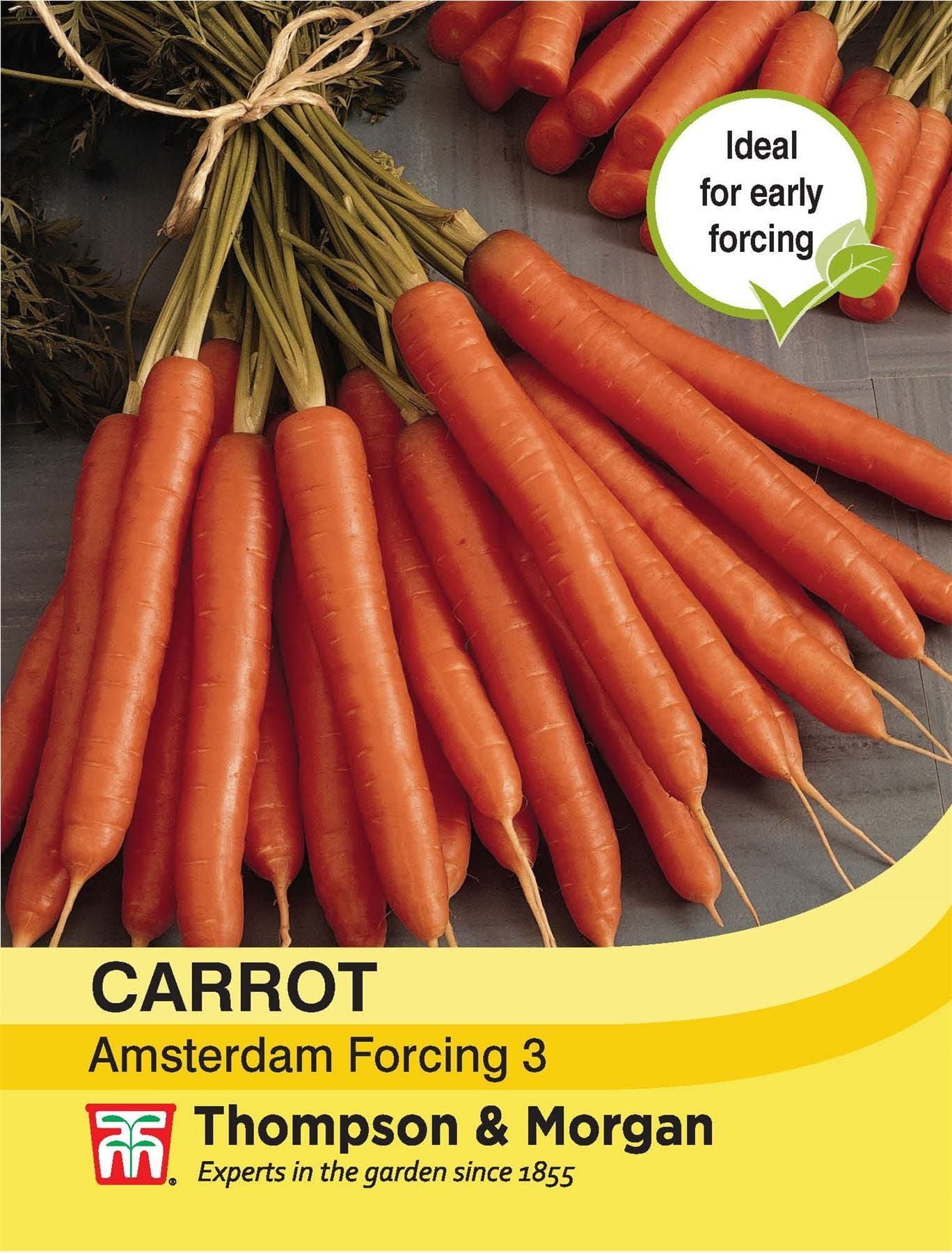 Thompson & Morgan Carrot Amsterdam Forcing 3 1500 Seed