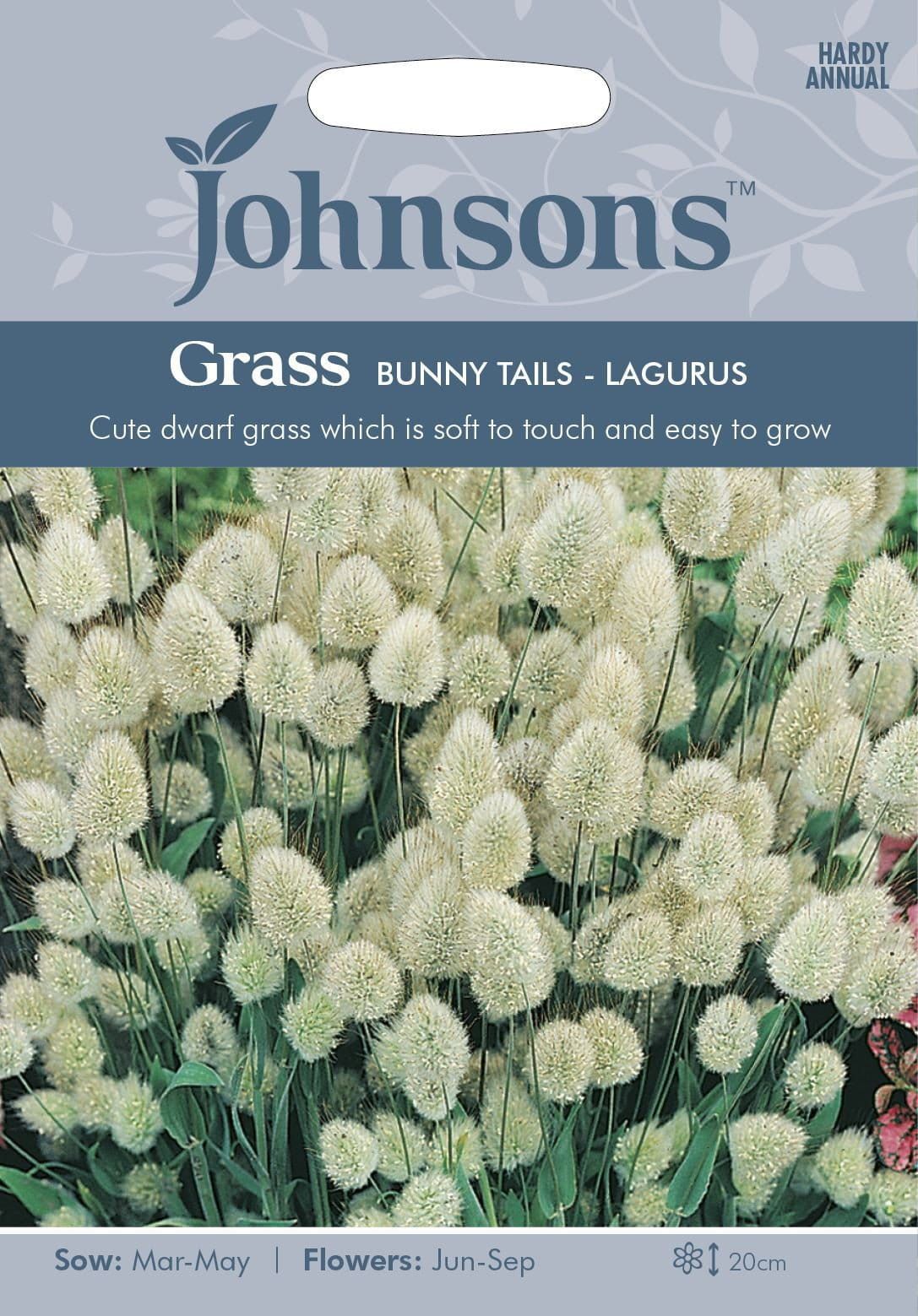 Johnsons Grass Bunny Tails 150 Seeds
