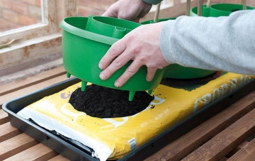 Garland - Plant Halos in Green - Set of 3 - G167G