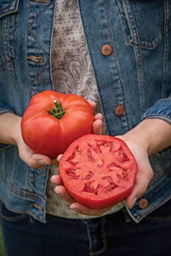 Tomato Burlesque F1 Hybrid Seeds