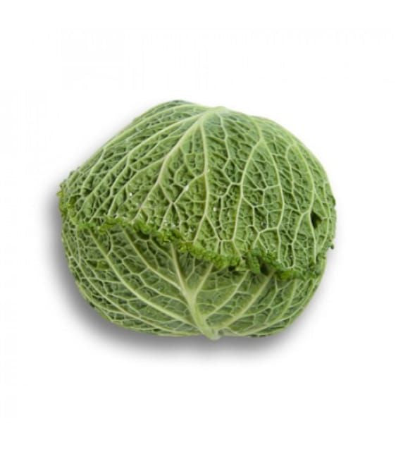 Savoy Cabbage Madlene RZ F1 Hybrid (29 -417) Untreated Seeds
