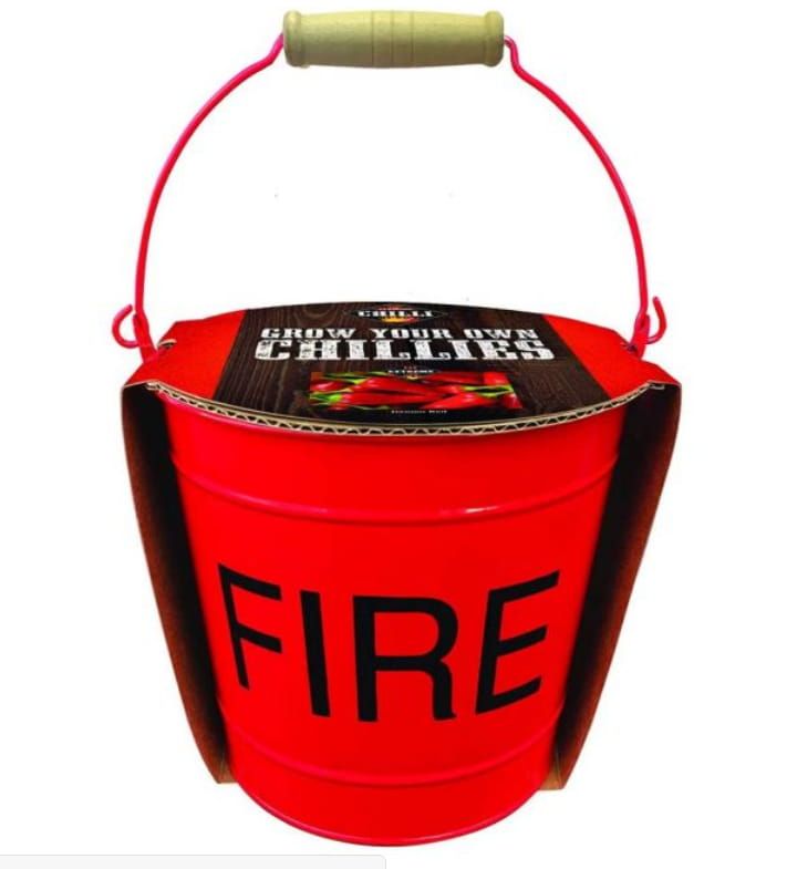 Taylors Chilli Grow your own Chilli Red Demon Chilli Seeds Metal Planter