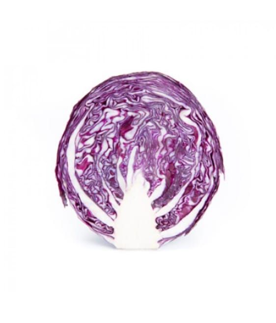 Red Cabbage Redma RZ F1 Hybrid Untreated Seeds