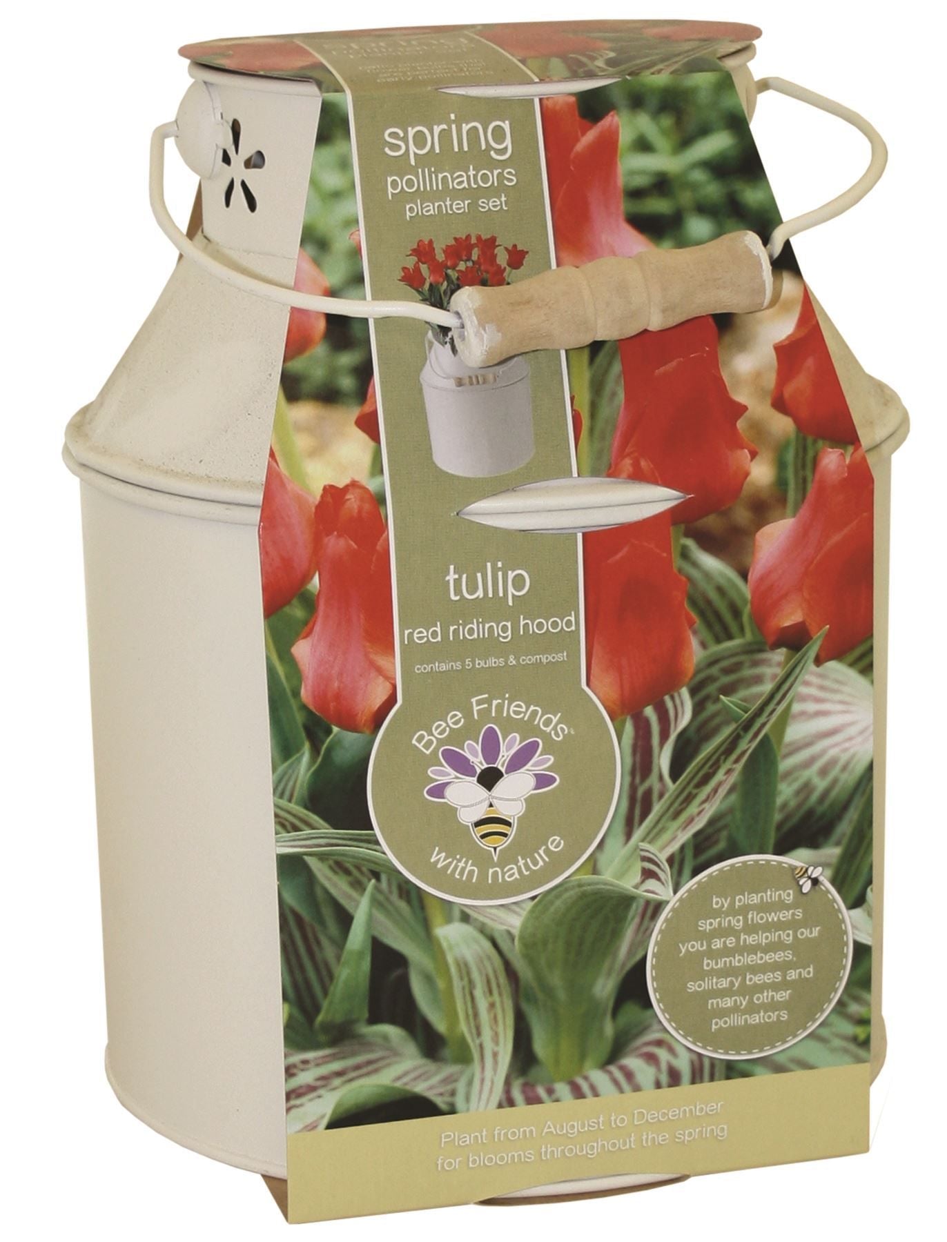 Bees Friends Tulip - Red Riding Hood - Bulb Spring Flower Milk Churn Growing Kit