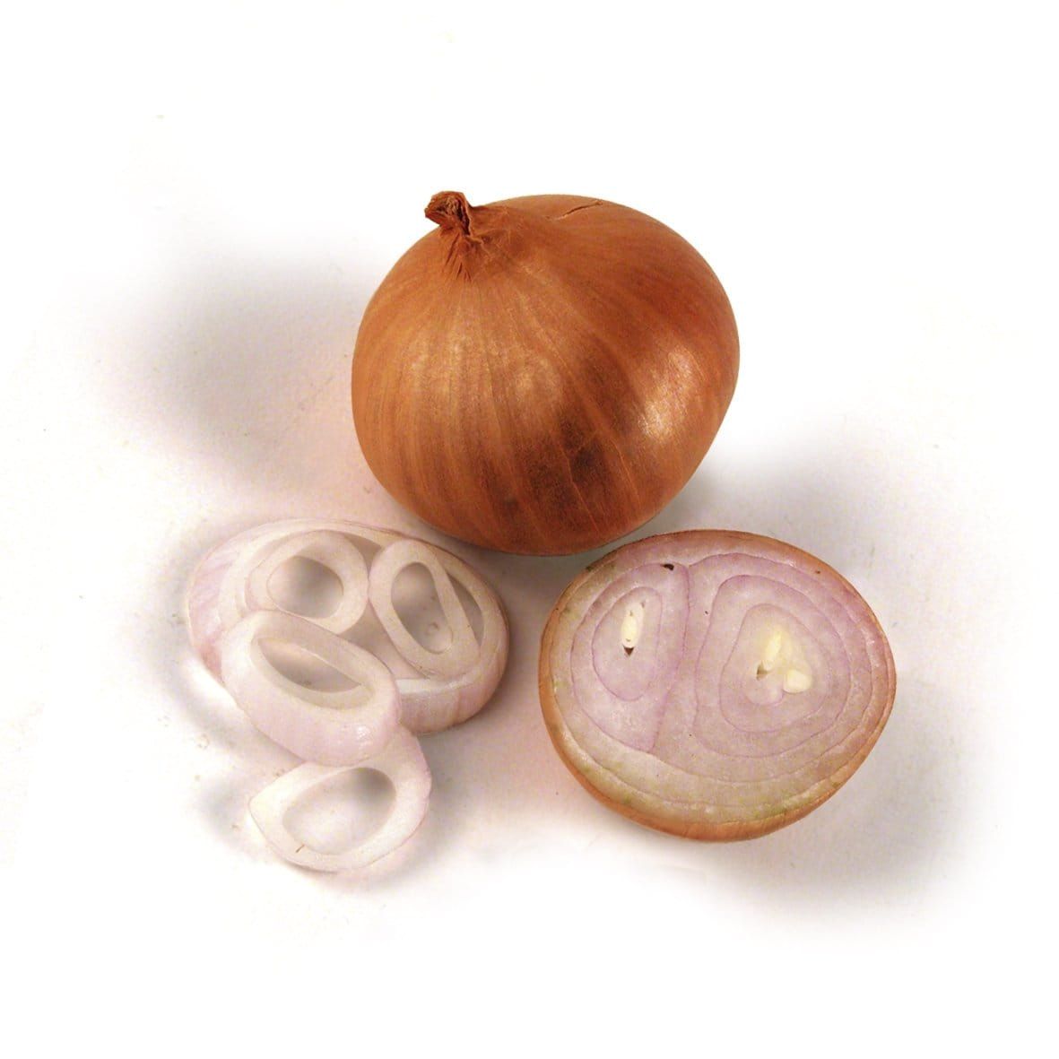 Shallot Sets Red Sun Seeds