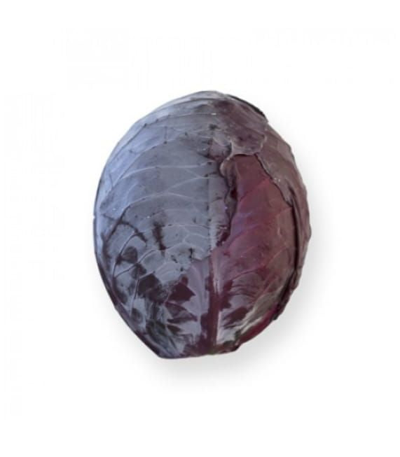 Red Cabbage Rodima RZ F1 Hybrid Untreated Seeds