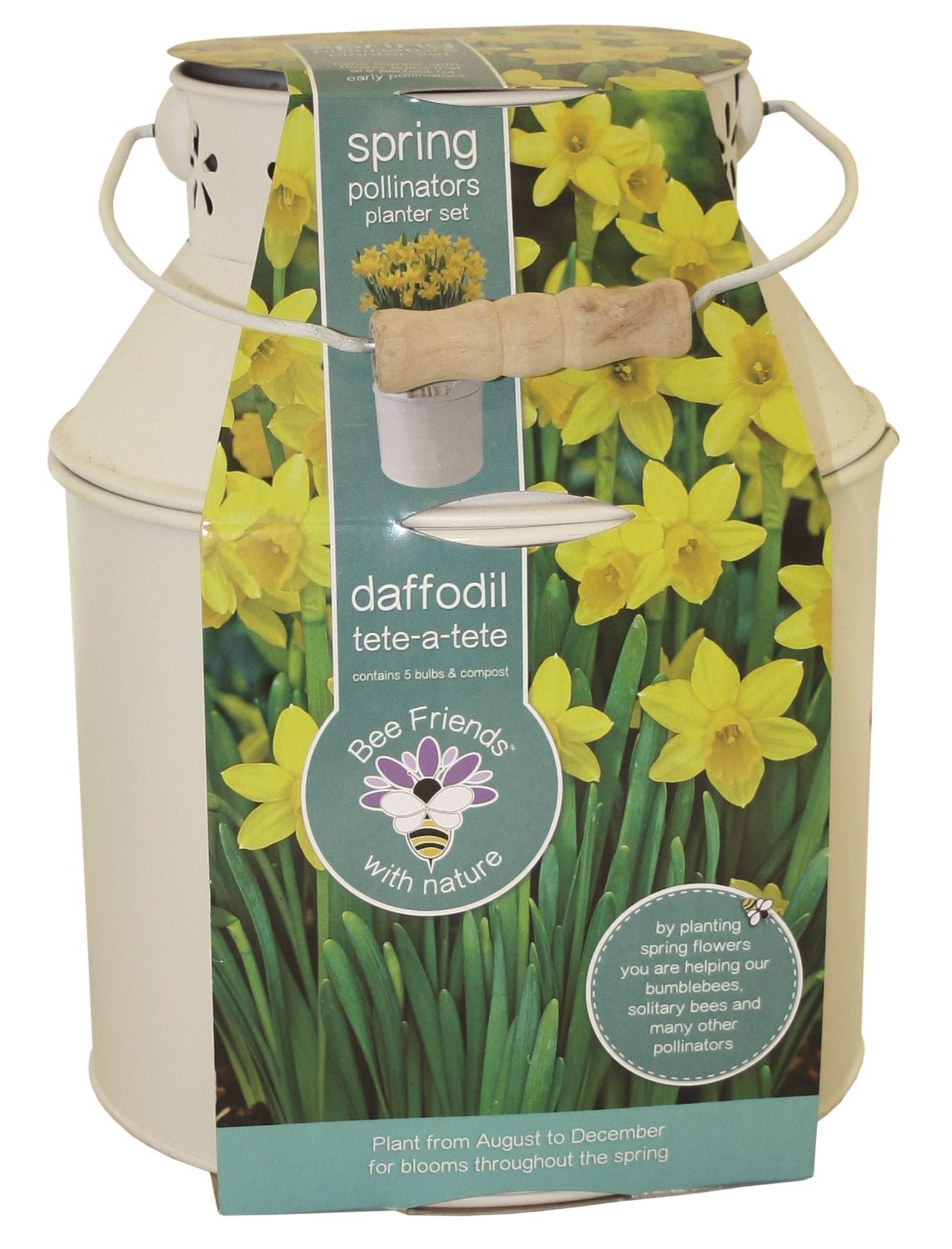 Bees Friends - Narcissus - Tete a Tete - Bulb Spring Flower Milk Churn Growing Kit