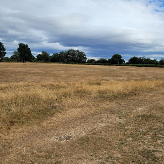dry field outside JustSeed Limited premises