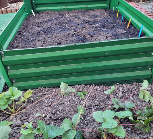 Using Green Manures