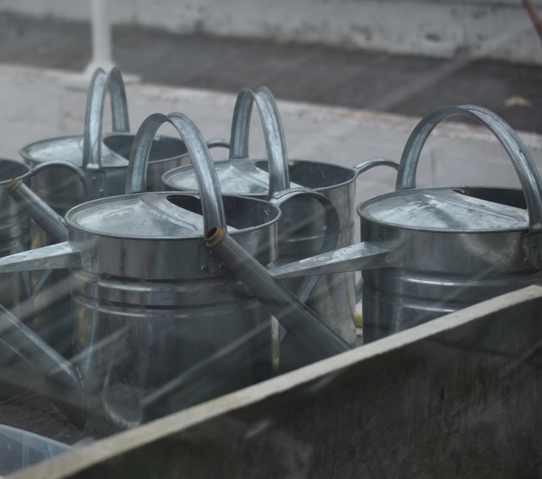 Four metal watering cans