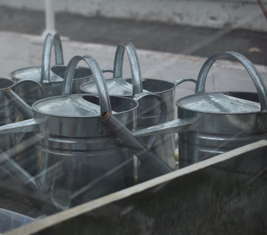 Four metal watering cans