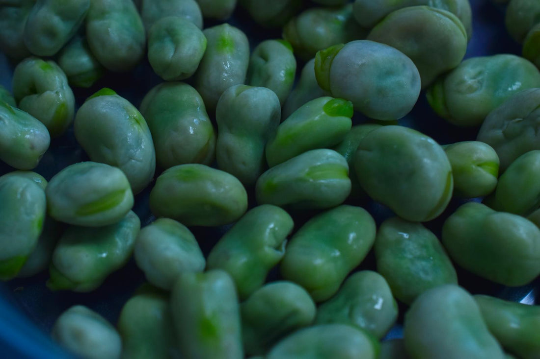 Broad beans ready for cooking