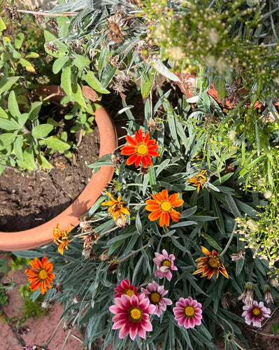 Water resilience 2 - reduce, reuse, repurpose