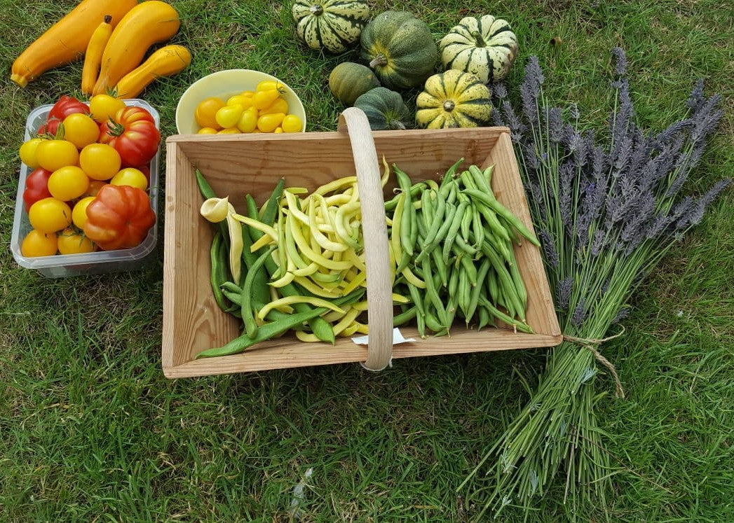 10 Reasons to Grow Organic
