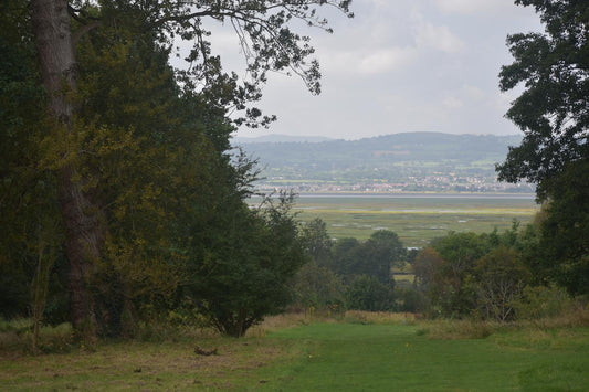 Walking down memory lane in Ness Gardens