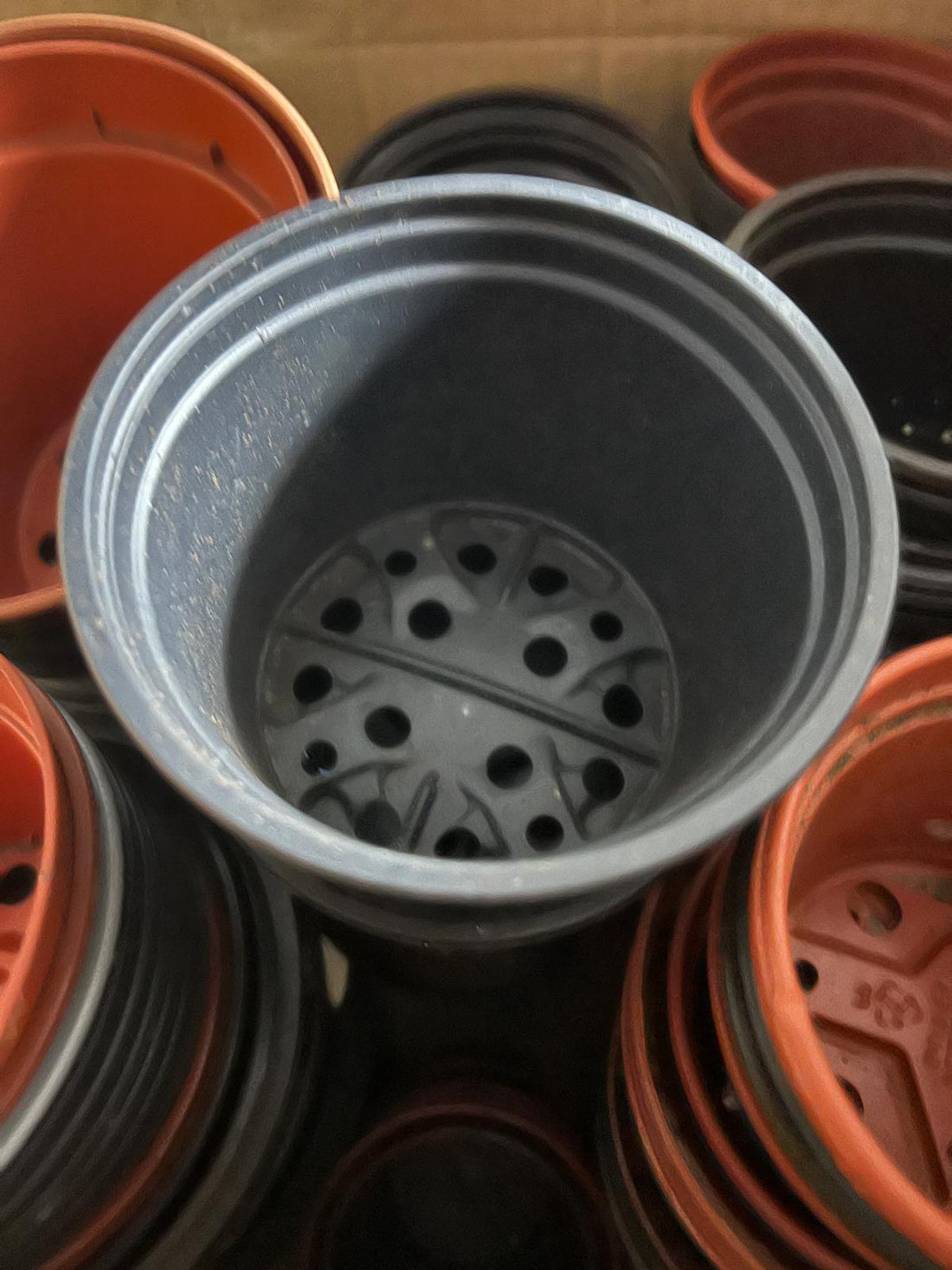 February jobs when the weather brings snow or sleet, rain or wind, and if like me you are a fair weather gardener….