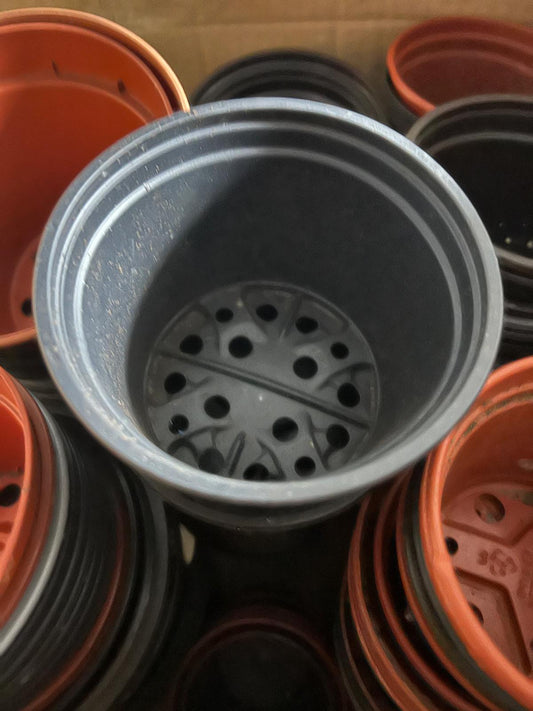 February jobs when the weather brings snow or sleet, rain or wind, and if like me you are a fair weather gardener….