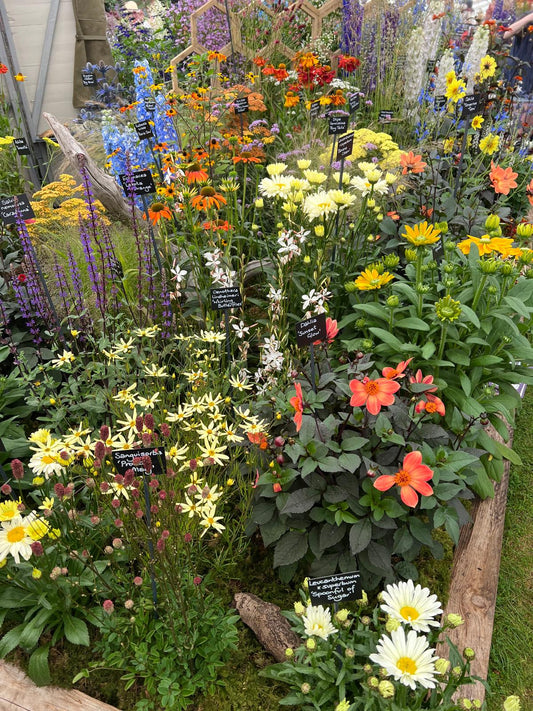 Perennials, Biennials and Annuals