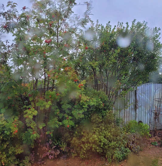 O Sweet September Rain