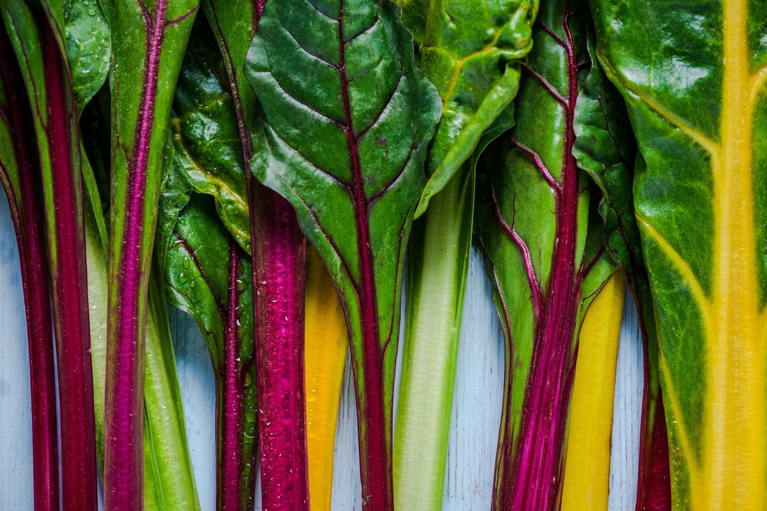 Rainbow chard