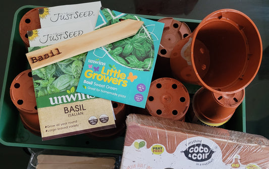 Starting Seeds Indoors in March: Jumpstart your garden