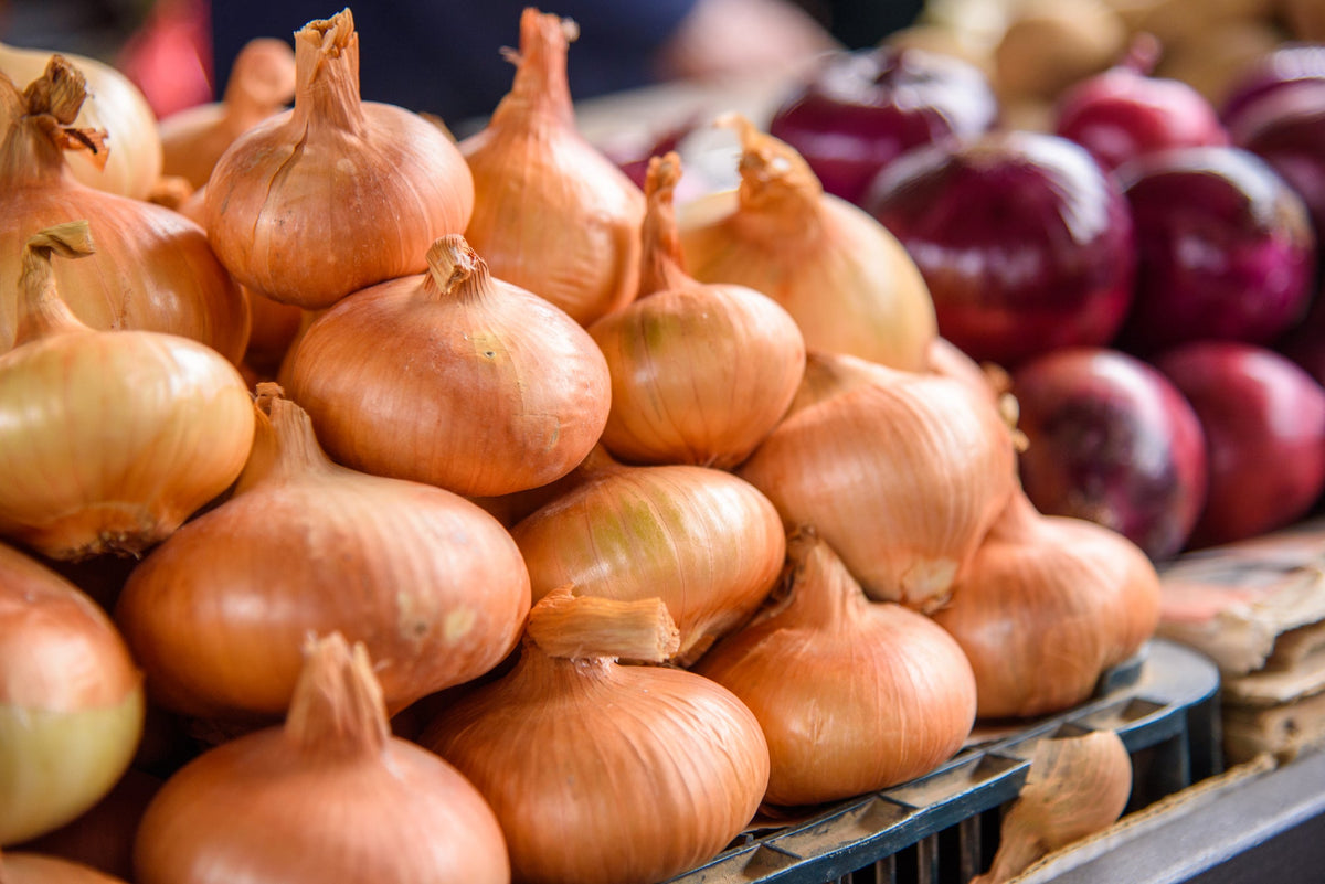 Vegetables to Sow in September