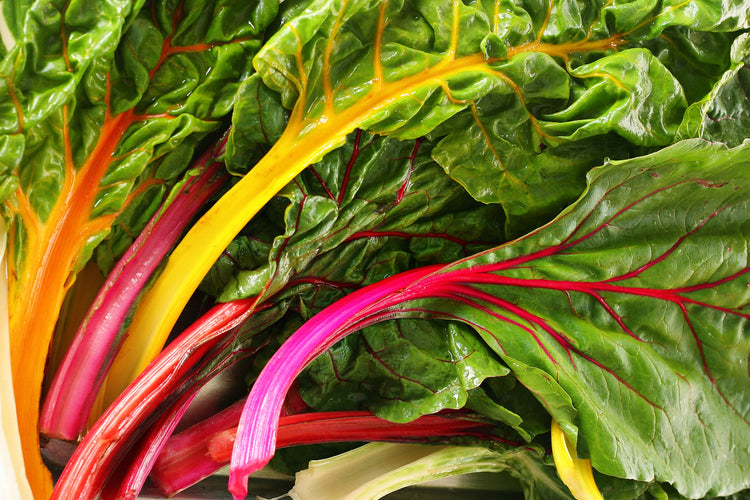 Swiss Chard Seed