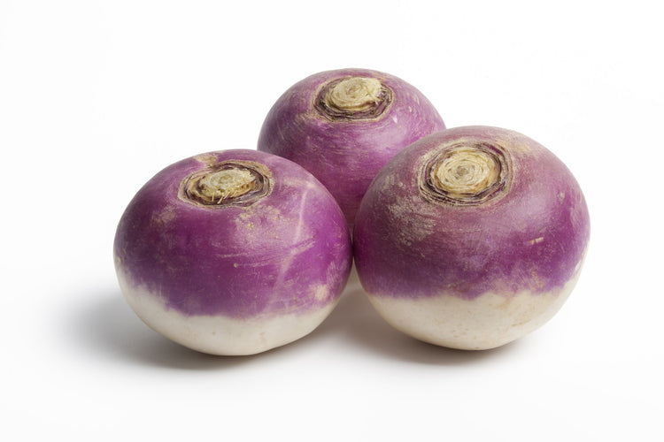 Turnip Seed