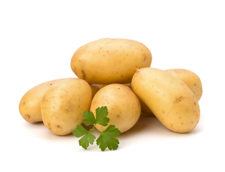 Christmas Potatoes Tubers - Summer Planting