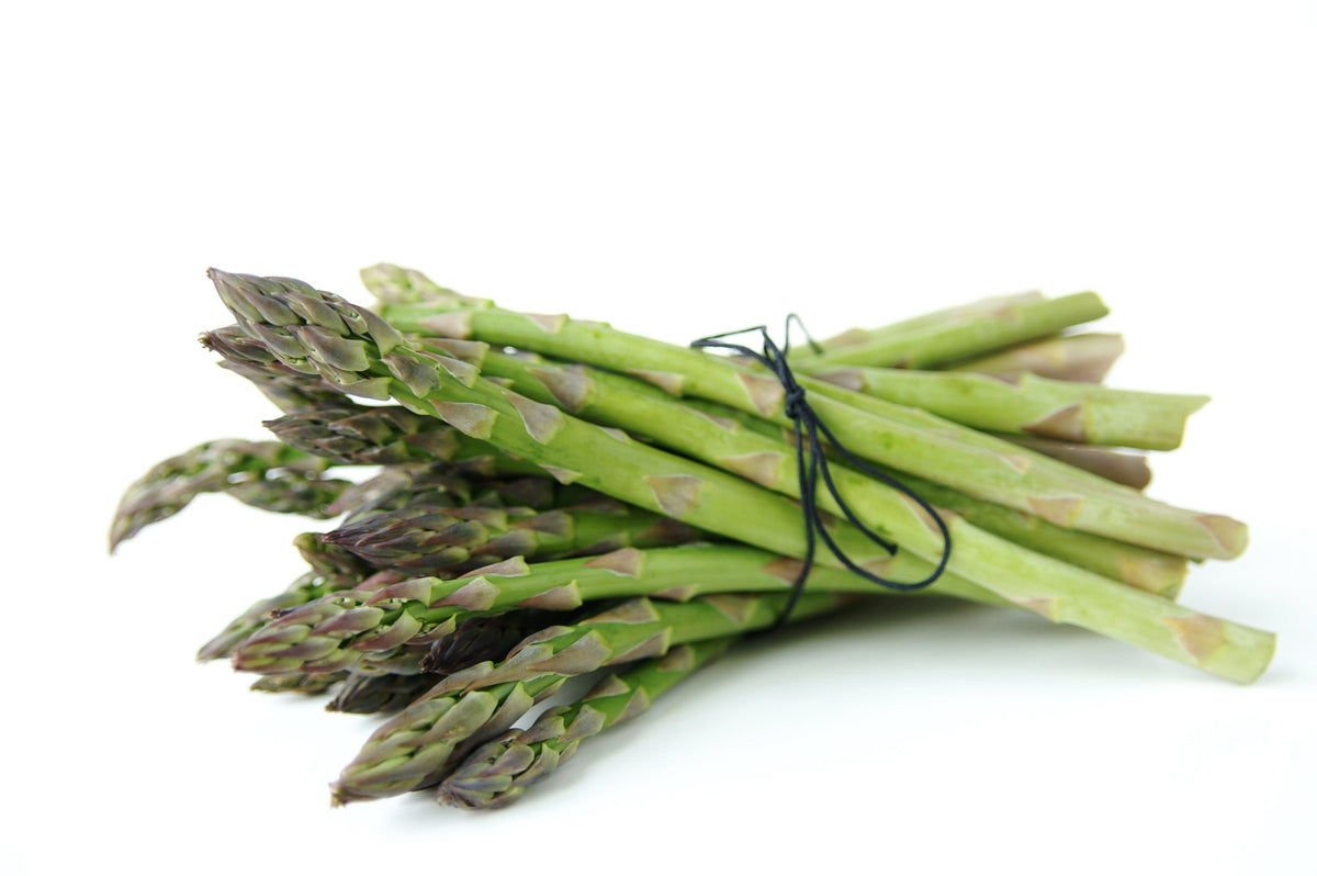 Asparagus Seed