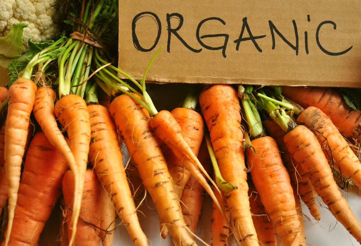 Organic Carrot Seed