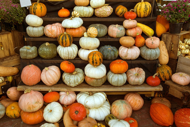 Pumpkin Range