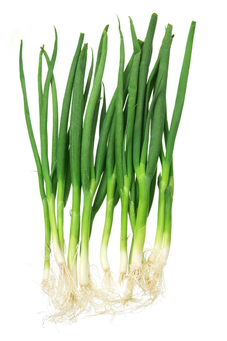 Spring Onion Seeds