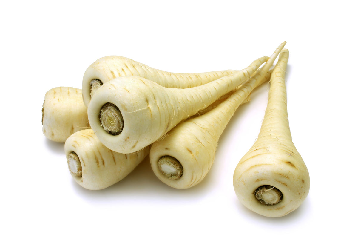 Parsnip Seed