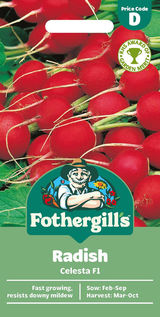 Fothergills Radish Celesta F1 Seeds