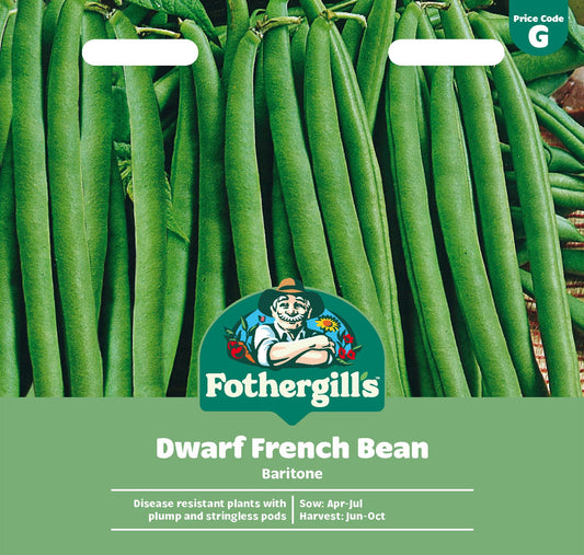Fothergills Dwarf French Bean Baritone Seeds