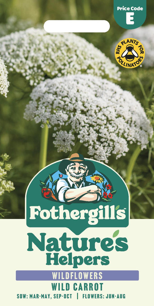 Fothergills Wild flowers Nature Haven Wild Carrot Seeds